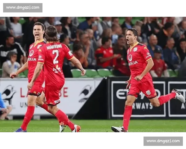 惠灵顿主场迎战阿德莱德巅峰对决谁将掌控比赛节奏走向胜利之夜